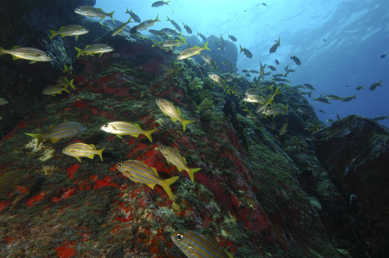 Pousada Boldro Home Fernando de Noronha Bagian luar foto