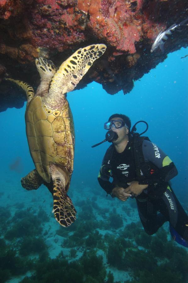 Pousada Boldro Home Fernando de Noronha Bagian luar foto