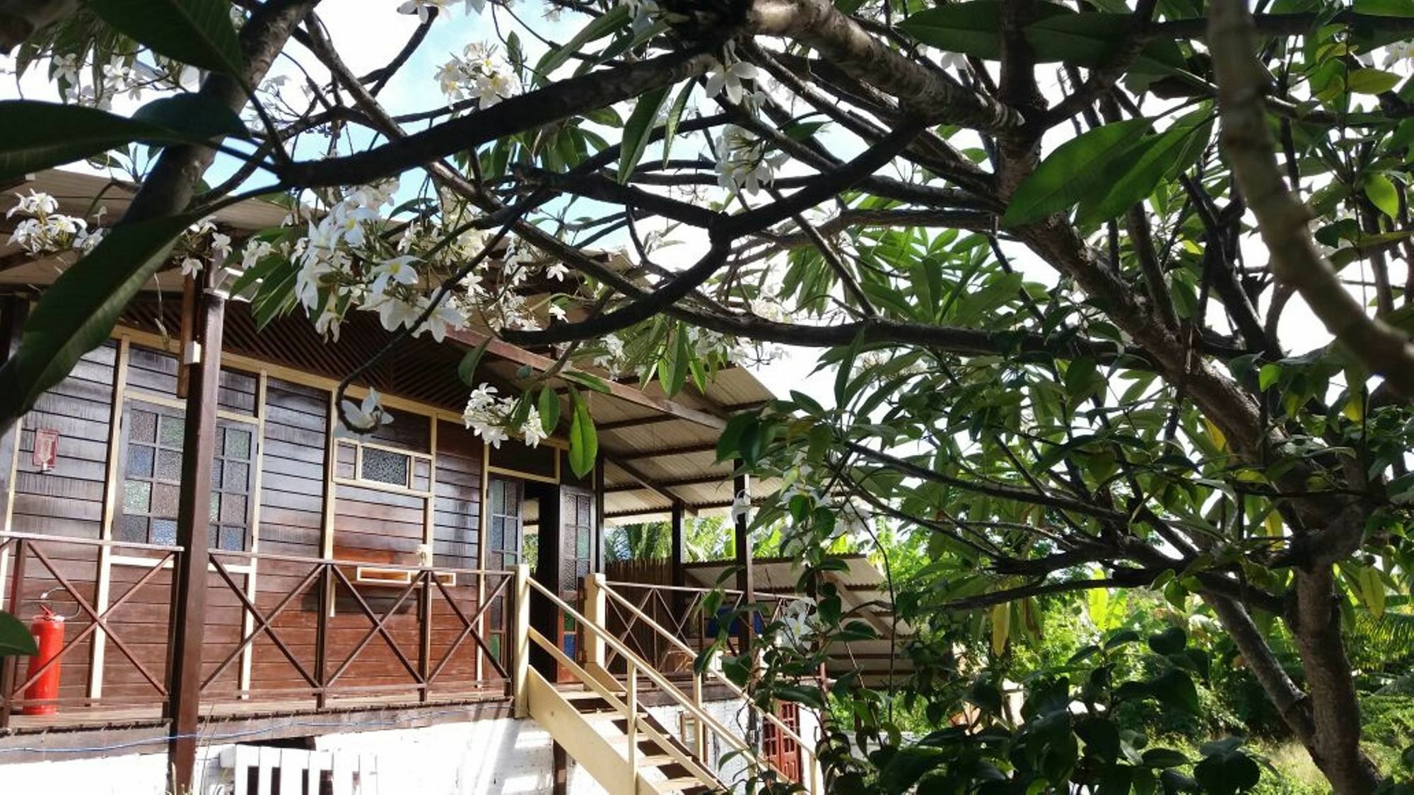 Pousada Boldro Home Fernando de Noronha Bagian luar foto